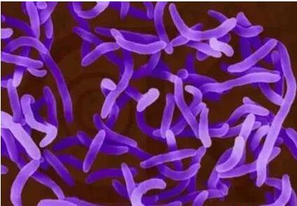 1594436401723480.jpg QQ瀏覽器截圖20200711105950.jpg