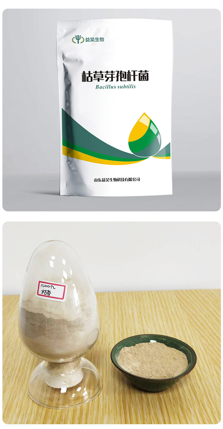 枯草芽孢桿菌 枯草芽孢桿菌